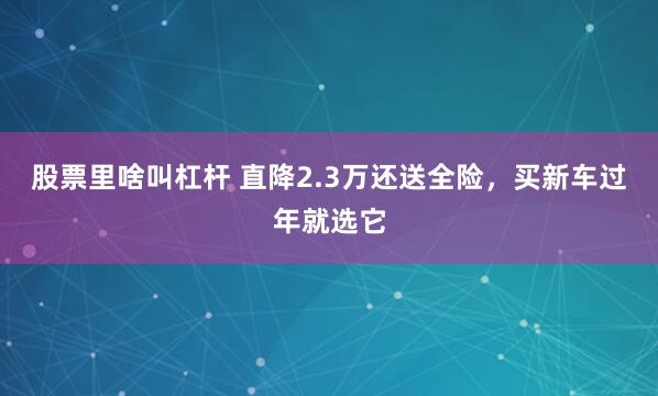 股票里啥叫杠杆 直降2.3万还送全险，买新车过年就选它