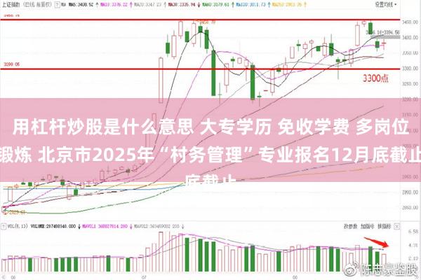 用杠杆炒股是什么意思 大专学历 免收学费 多岗位锻炼 北京市2025年“村务管理”专业报名12月底截止