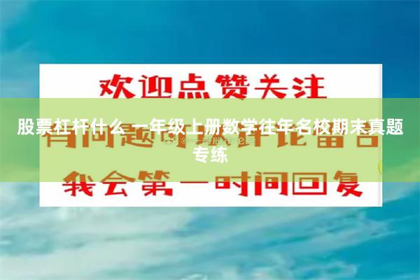 股票杠杆什么 一年级上册数学往年名校期末真题专练