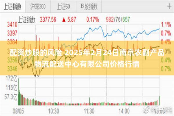 配资炒股的风险 2025年2月24日南京农副产品物流配送中心有限公司价格行情